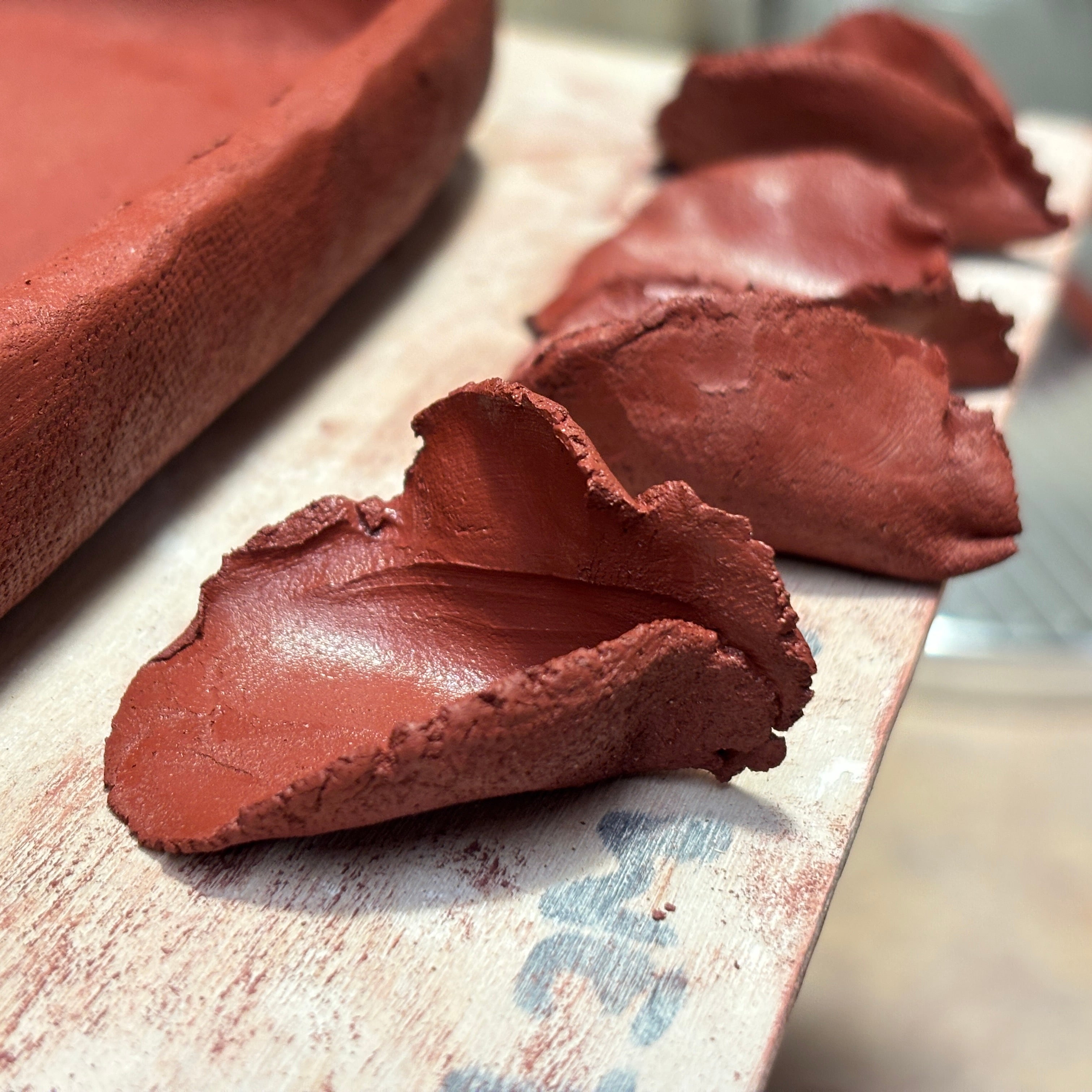Hand Building Workshop - Create Your Tray with Sculpted Flowers - June 2025