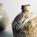 Wabi-Sabi Sake Set (Set of Four)