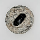 Year of the Snake Moon Jar - Cream White