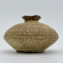 Small Pod Ceramic Vase