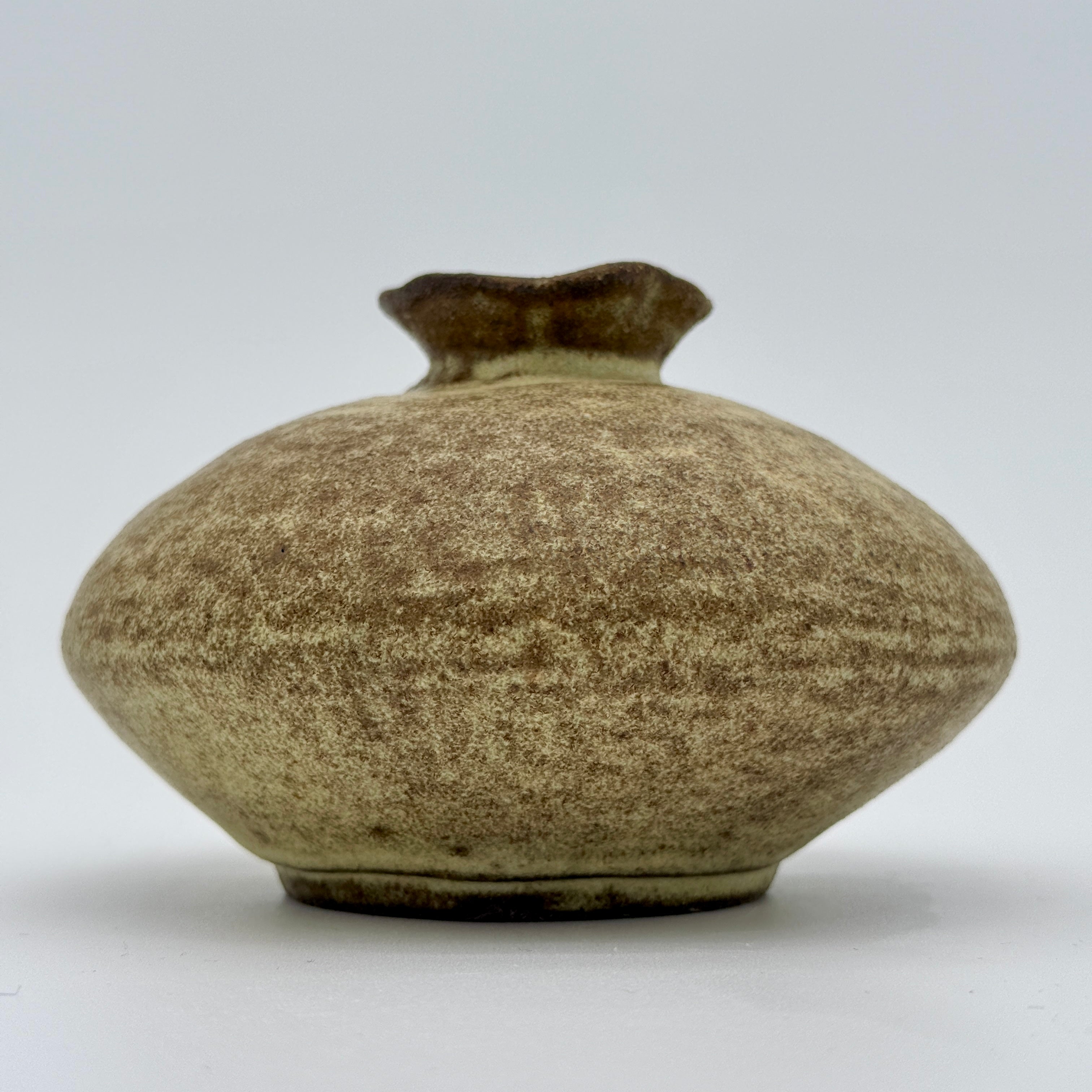 Small Pod Ceramic Vase