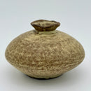 Small Pod Ceramic Vase