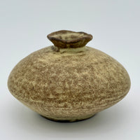 Small Pod Ceramic Vase