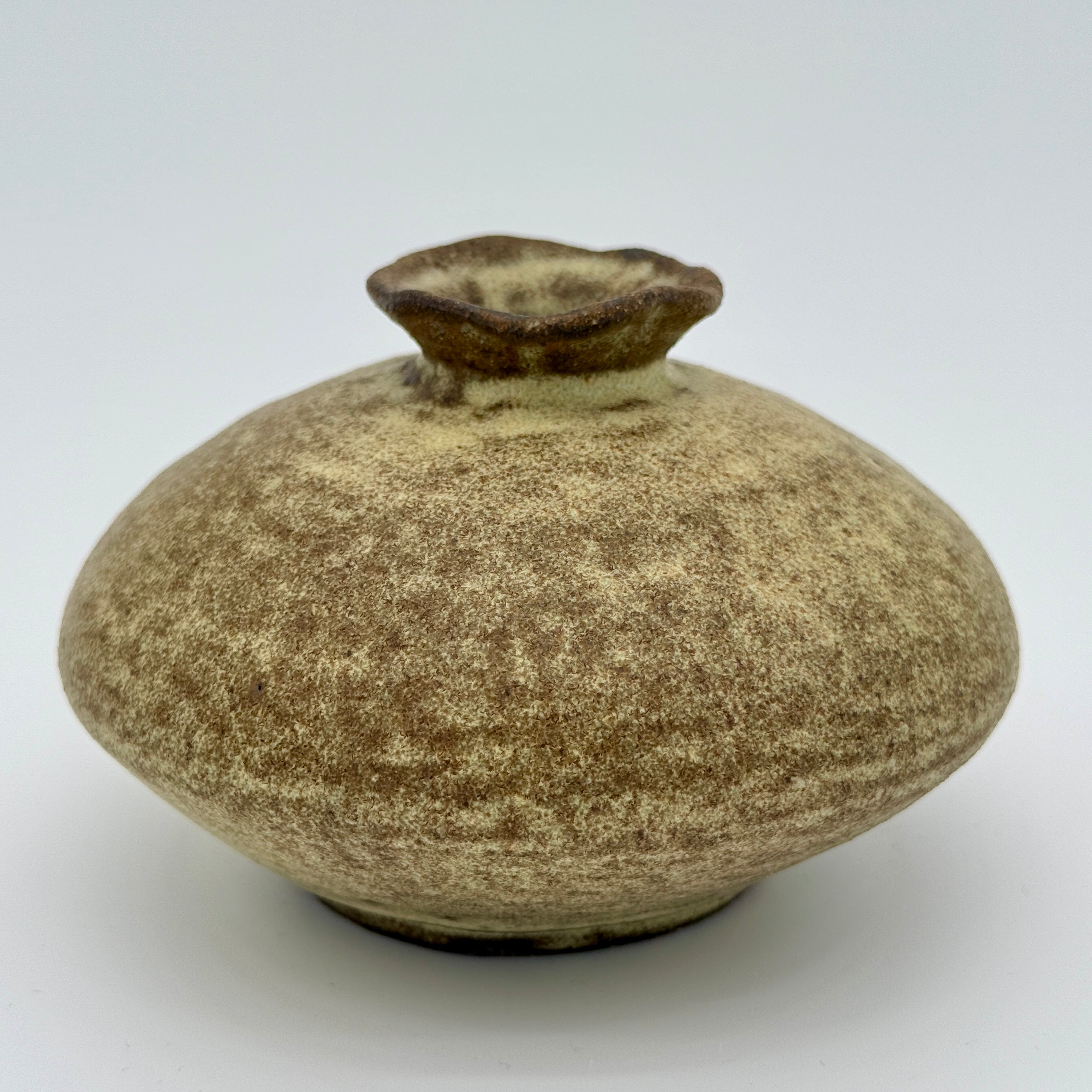 Small Pod Ceramic Vase