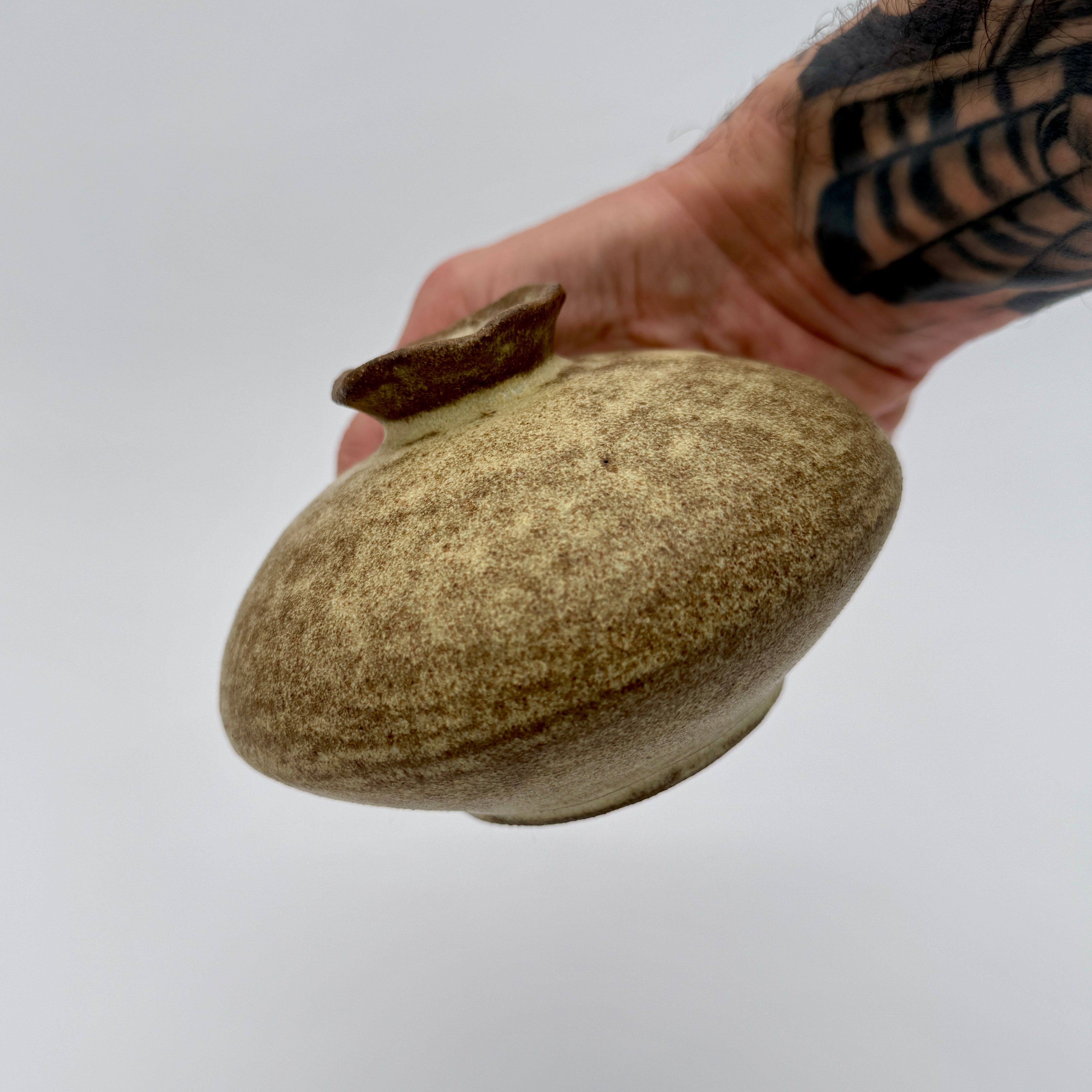 Small Pod Ceramic Vase